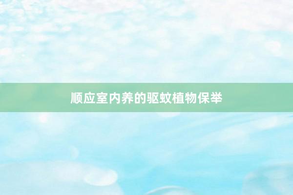 顺应室内养的驱蚊植物保举