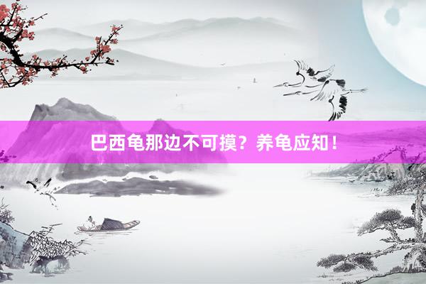 巴西龟那边不可摸？养龟应知！