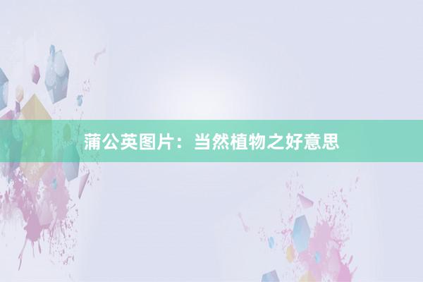 蒲公英图片：当然植物之好意思