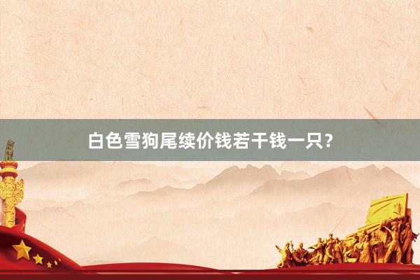 白色雪狗尾续价钱若干钱一只？